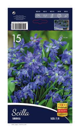 Синчец (Scilla Siberica)